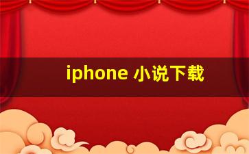 iphone 小说下载